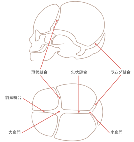頭蓋骨縫合早期癒合症